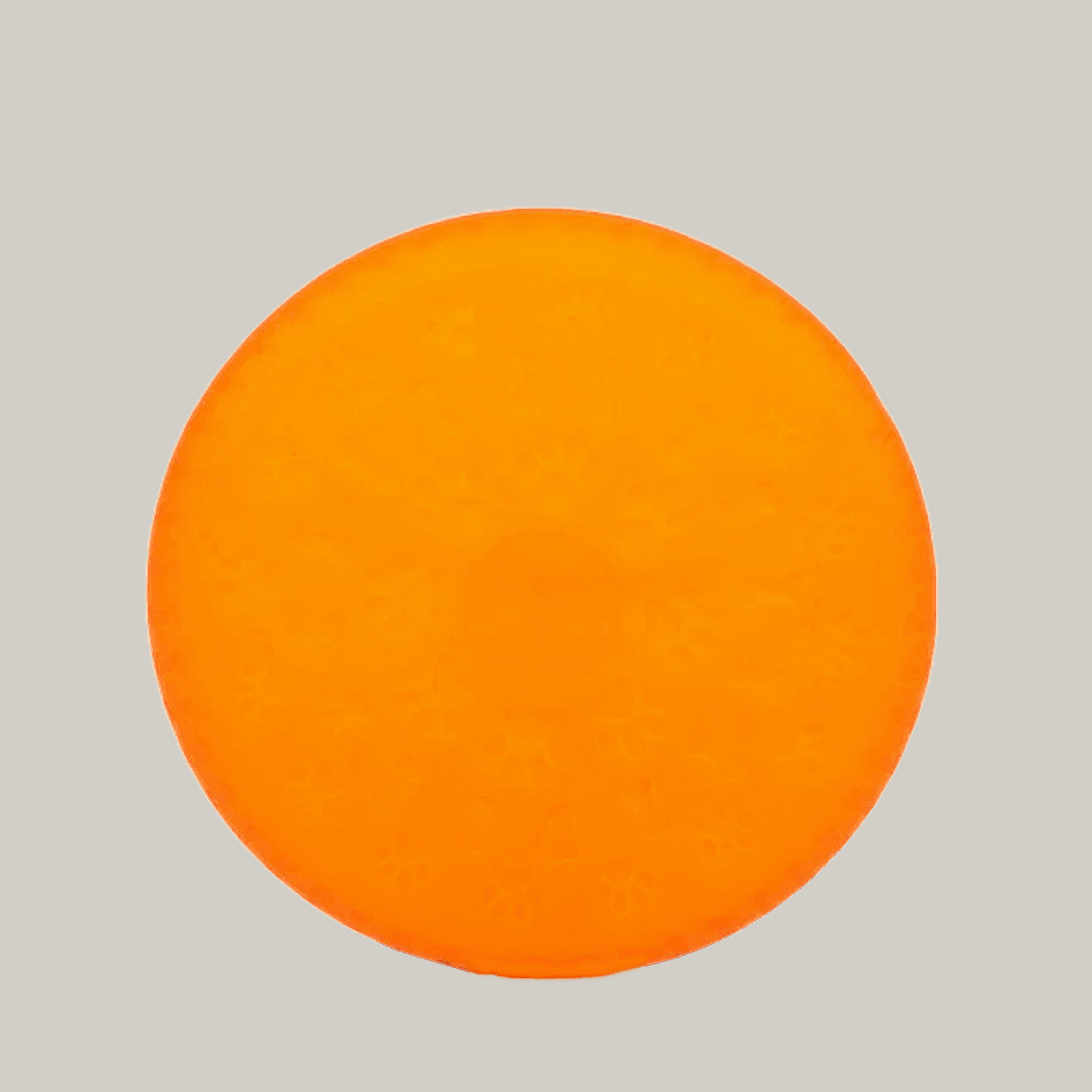 Frisbee til hund – slitesterk hundeleke.