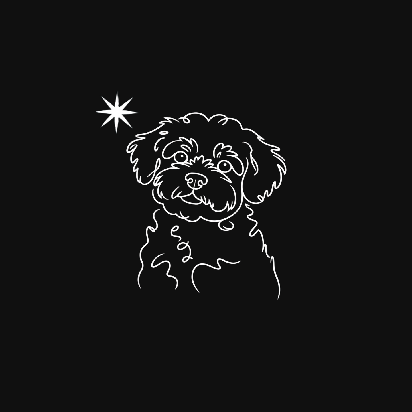 Pawli svart minimalistisk julegenser Bishon Havanais