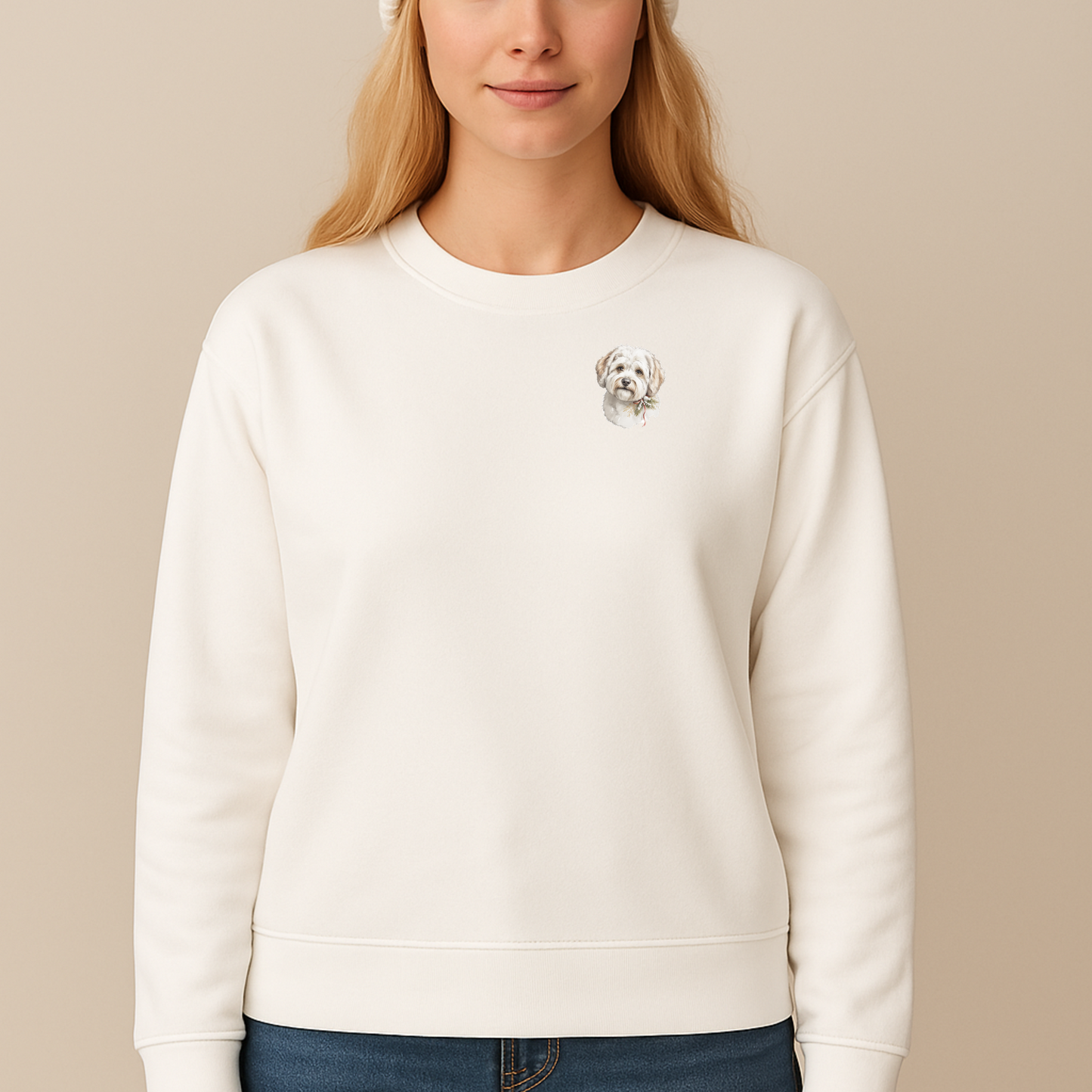 Pawli julegenser Bishon Havanais