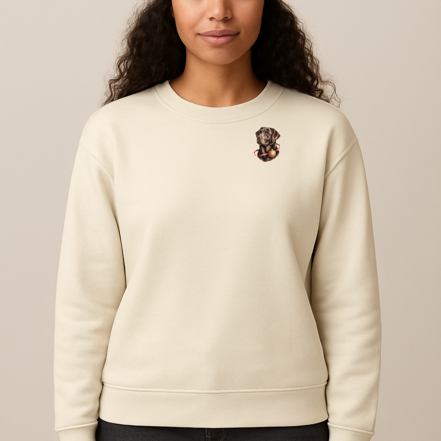 Pawli julegenser Labrador Retriever