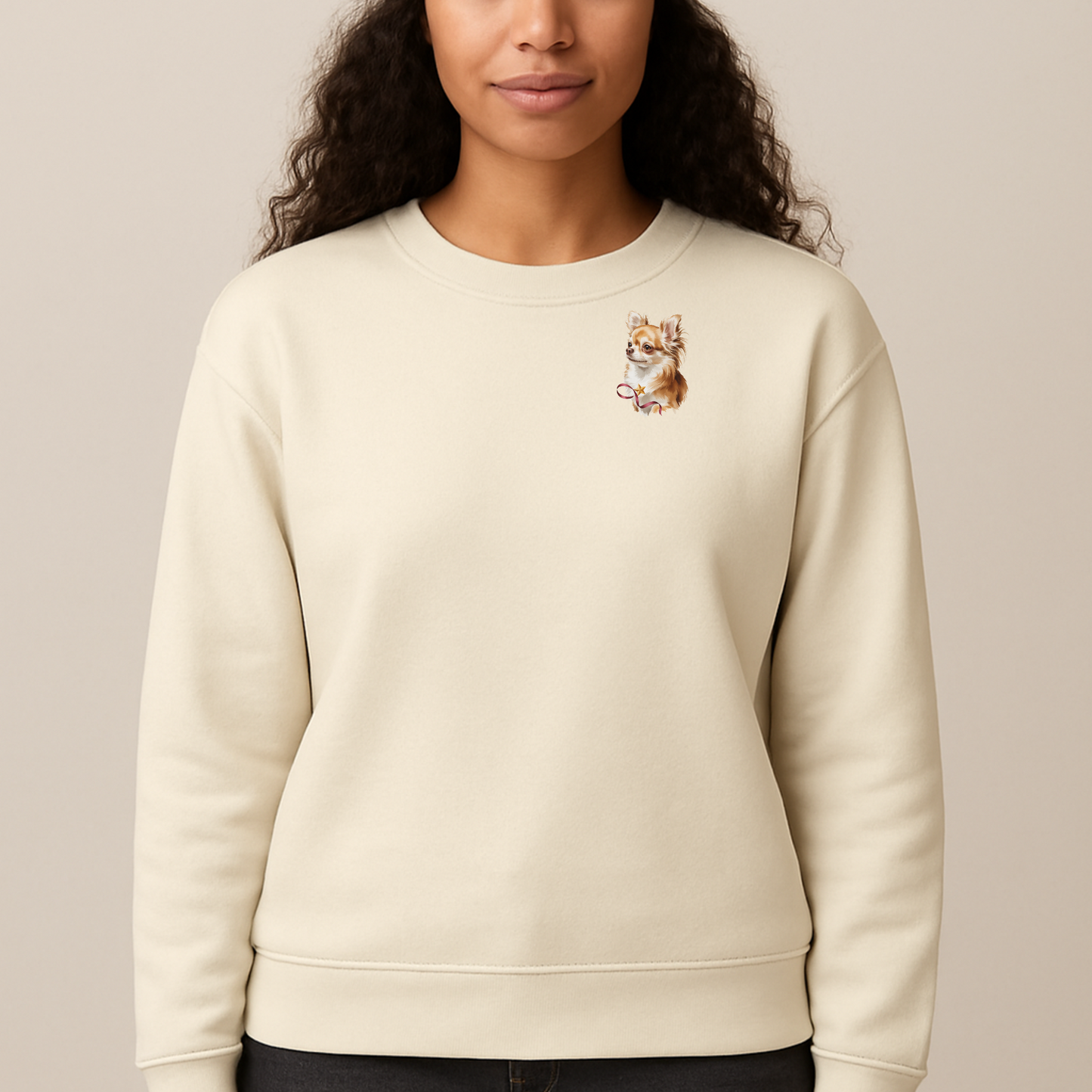 Pawli julegenser Langhåret Chihuahua