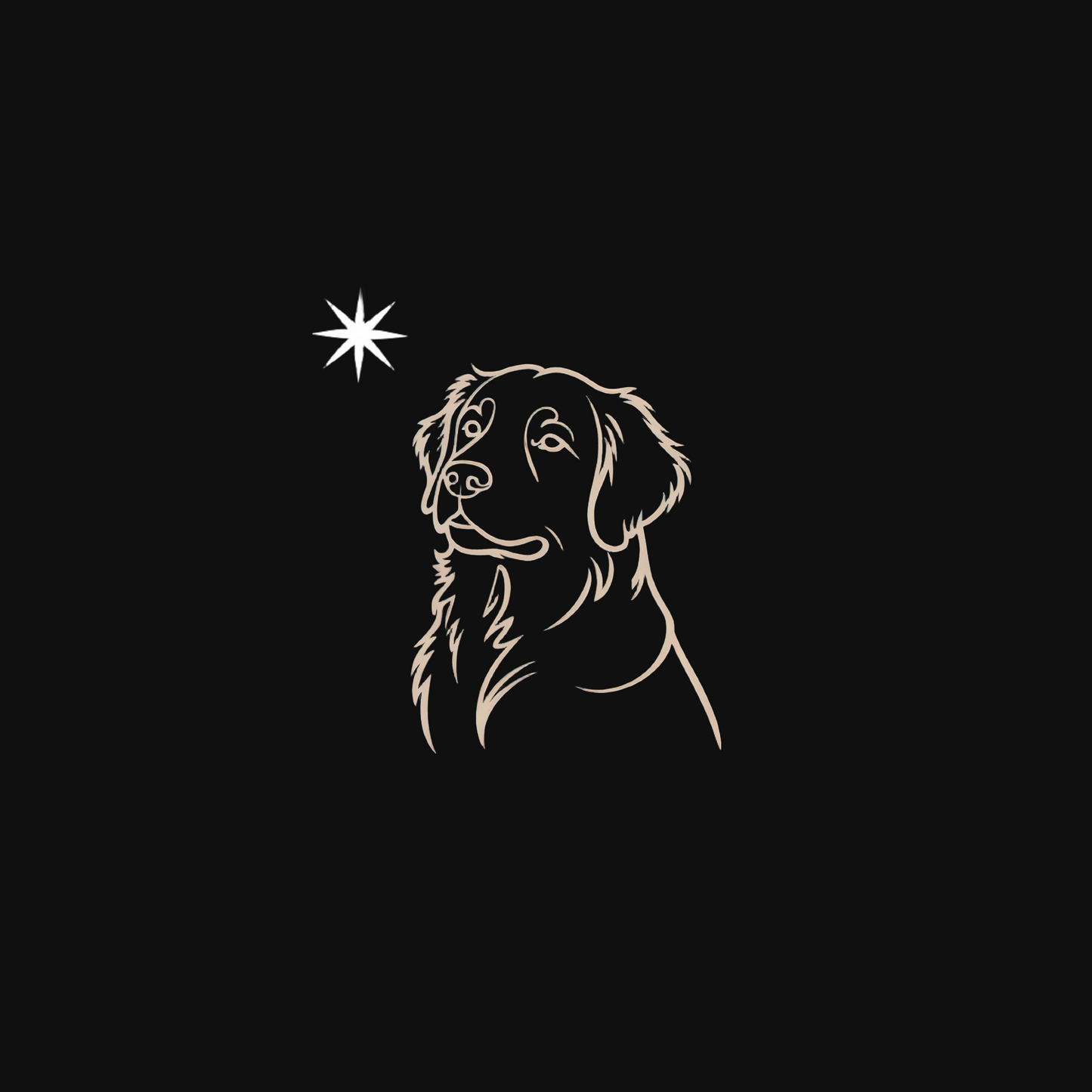 Pawli svart minimalistisk julegenser - Golden Retriever