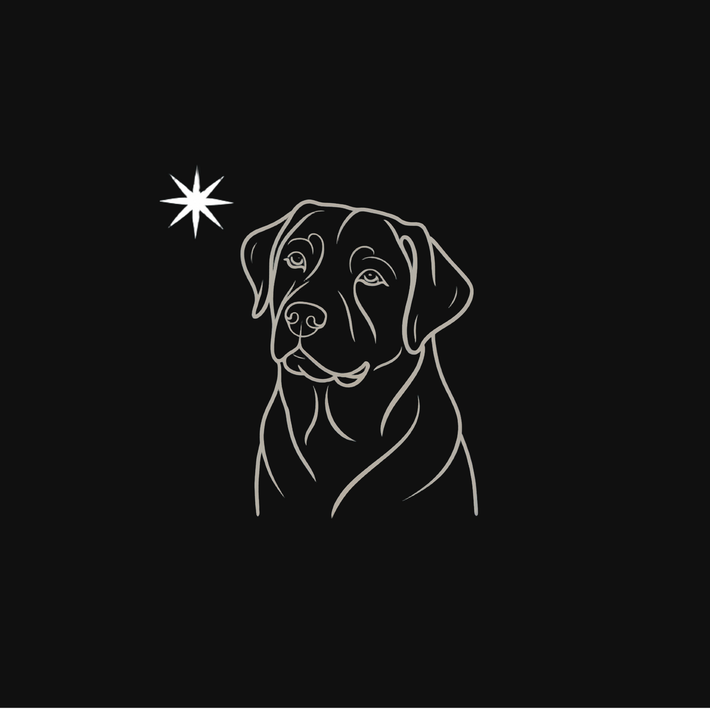 Pawli svart minimalistisk julegenser Labrador Retriever