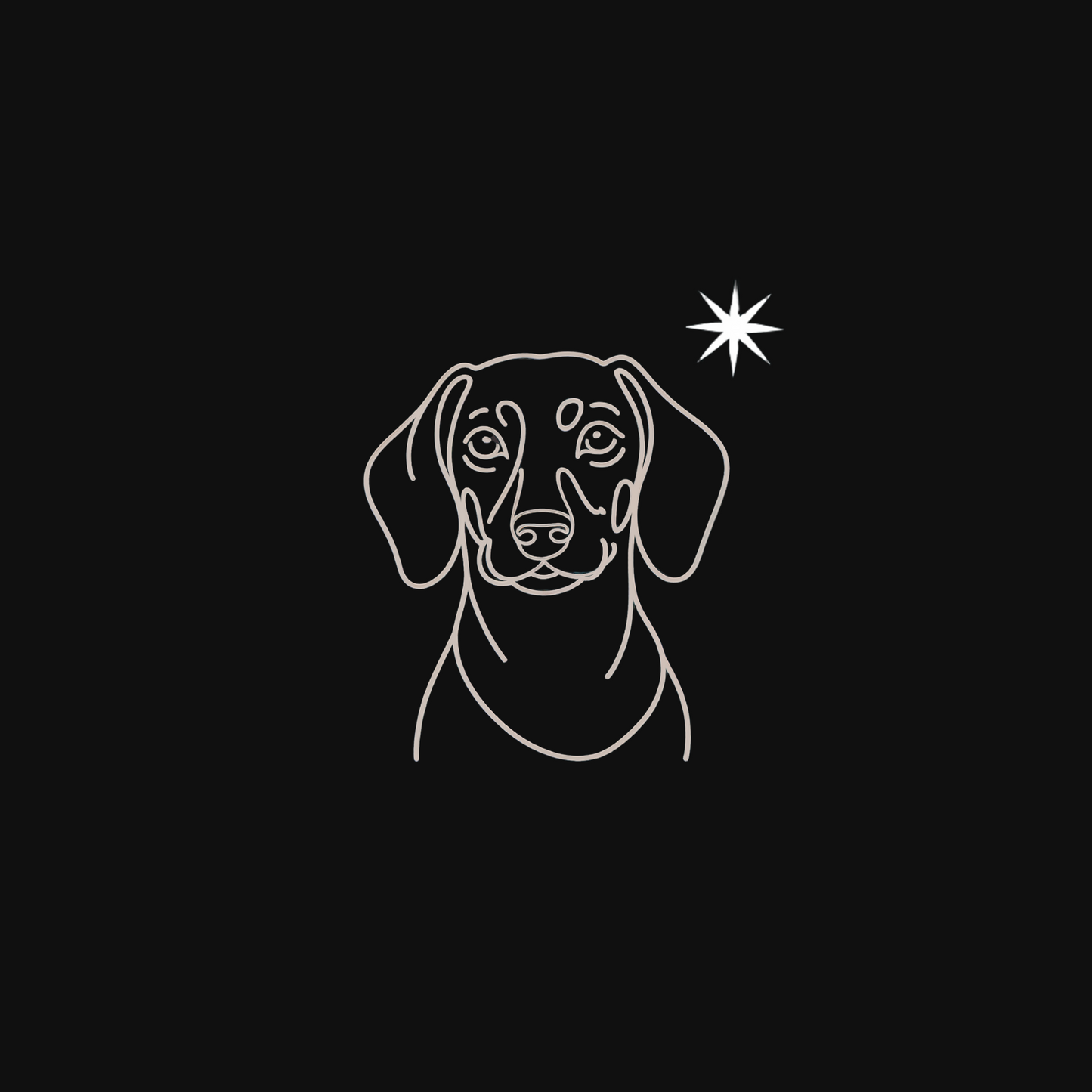 Pawli svart minimalistisk julegenser Dachshund